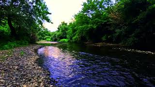 WATCH: This River's Flow Will Leave You SPEECHLESS (MUST SEE!)