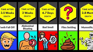 Logical Comparison: Human Body After Death