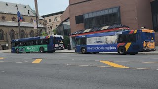 Cdta: Gillig and New Flyer Bus Action At State Station