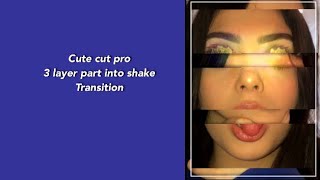CUTE CUT PRO: 3 LAYER PART INTO SHAKE