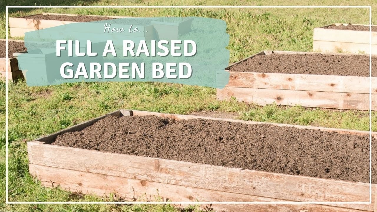 How to Fill a Raised Garden Bed Cheap - YouTube