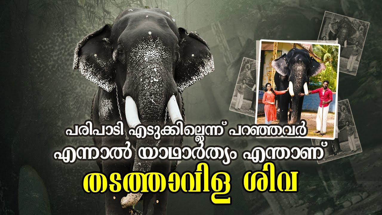 പരിപാടി എടുക്കില്ലെന്ന് പറഞ്ഞവർക്കുള്ള മറുപടിയുമായ് തടത്താവിള ശിവ|Thadathavilasiva|sarisway