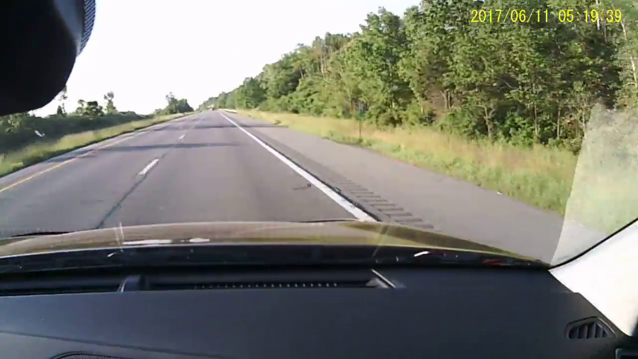 DEER HIT BY SUV (AIRBAGS POPPED) YouTube