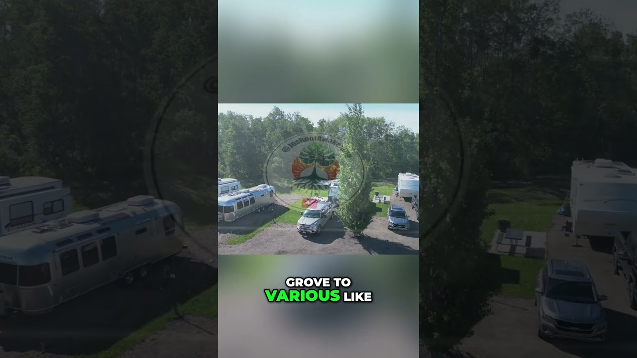 Diamond Grove RV Park  Your Convenient Spruce Grove Oasis!