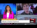 Savannah Guthrie: 'We Believe Our Mom Is Still Out There'