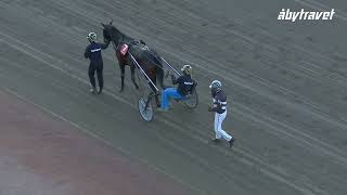 Vidéo de la course PMU PRIX ROYAL DREAM
