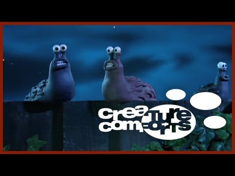 Kids | Creature Comforts