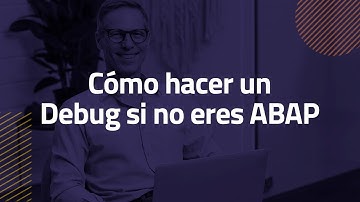 Cómo hacer un Debug si no eres ABAP