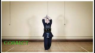 ZERO TO SHODAN (French Version) - Kendo for Beginners: Episode 3 - Practice Strikes (Suburi and K...