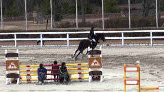 20110319 (5)01 SI