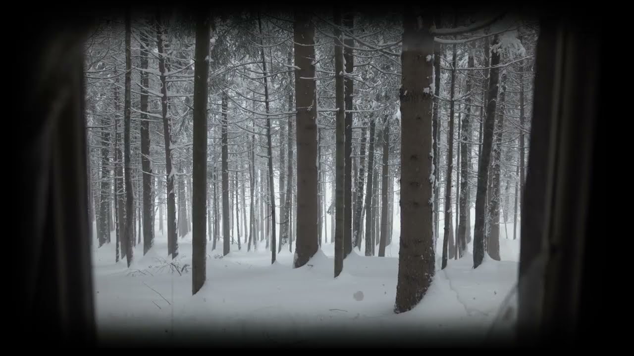 HARVEST - Born Alone (lyric video) [Octopus Rising / Argonauta Records]