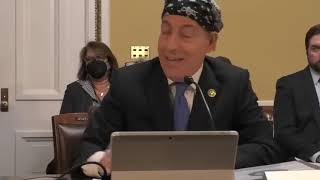 Rep.Chip Roy askes Should illegal Immigrants be allowed to vote!