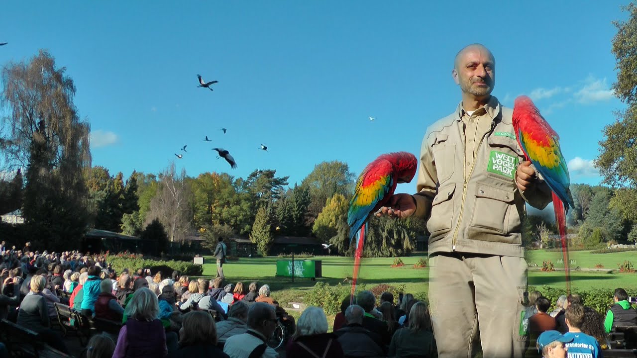 Einzigartige Flugshow, Weltvogelpark - Walsrode