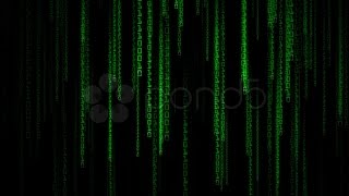 Matrix Binary Rain. Stock Footage
