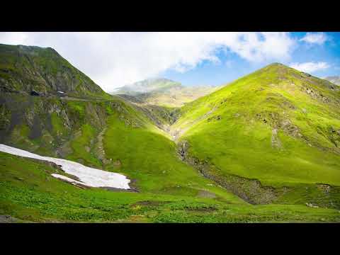 Video: Visita L'isola Di Cumberland, In Georgia