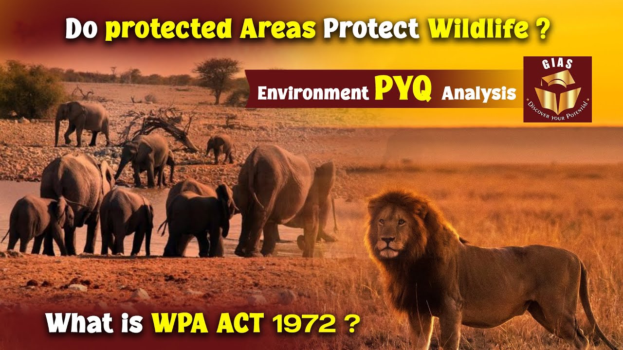 Do Protected Areas Protect Wildlife? | UPSC Prelims | Environment PYQ Analysis |  | IAS Exam