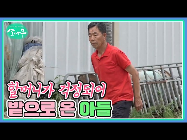 할머니가 혼자 걱정되어 밭으로 온 아들 MBN 260718 방송