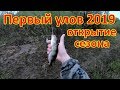 ПЕРВЫЙ УЛОВ 2019. ОТКРЫТИЕ СЕЗОНА.