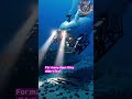 Titanic’s Hidden Secret Finally Discovered Underwater😱 #facts #usashorts #titanic #discoverychannel
