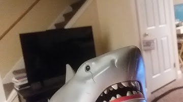 Jaws 3 finding nemo part 4