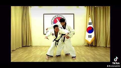 HAPKIDO