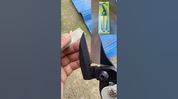 Kéo cắt tôn đa năng sk5 9 in mũi kéo cong hàng chính hãng Ls #ls #kimkhi #keocatton #keodanang