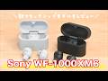 【最高すぎた】Sony WF-1000XM6 レビュー：ノイズキャンセリングも自然で音質もレベルアップ！何より操作性が上がったのが魅力的だった👍✨