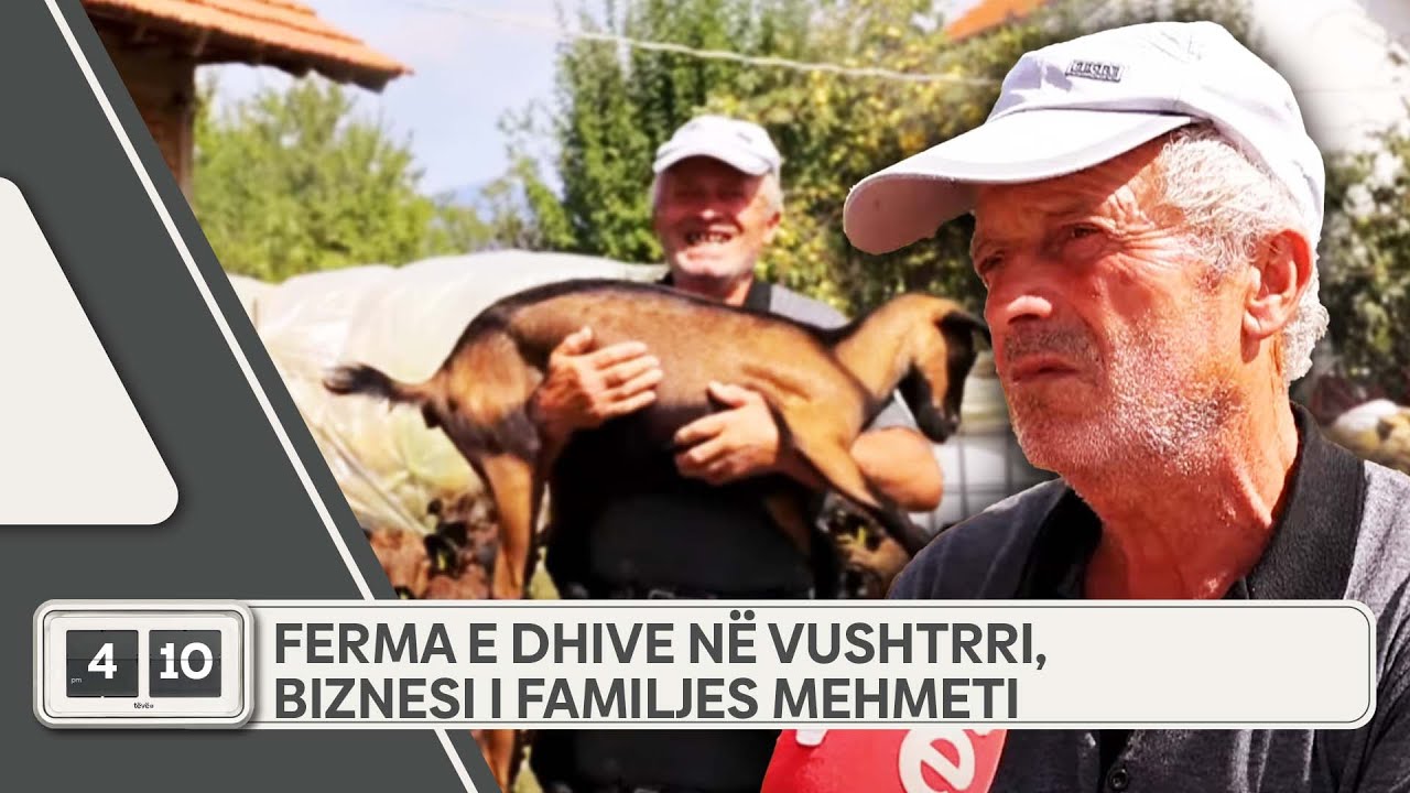 Ferma e dhive në Vushtrri, biznesi i familjes Mehmeti