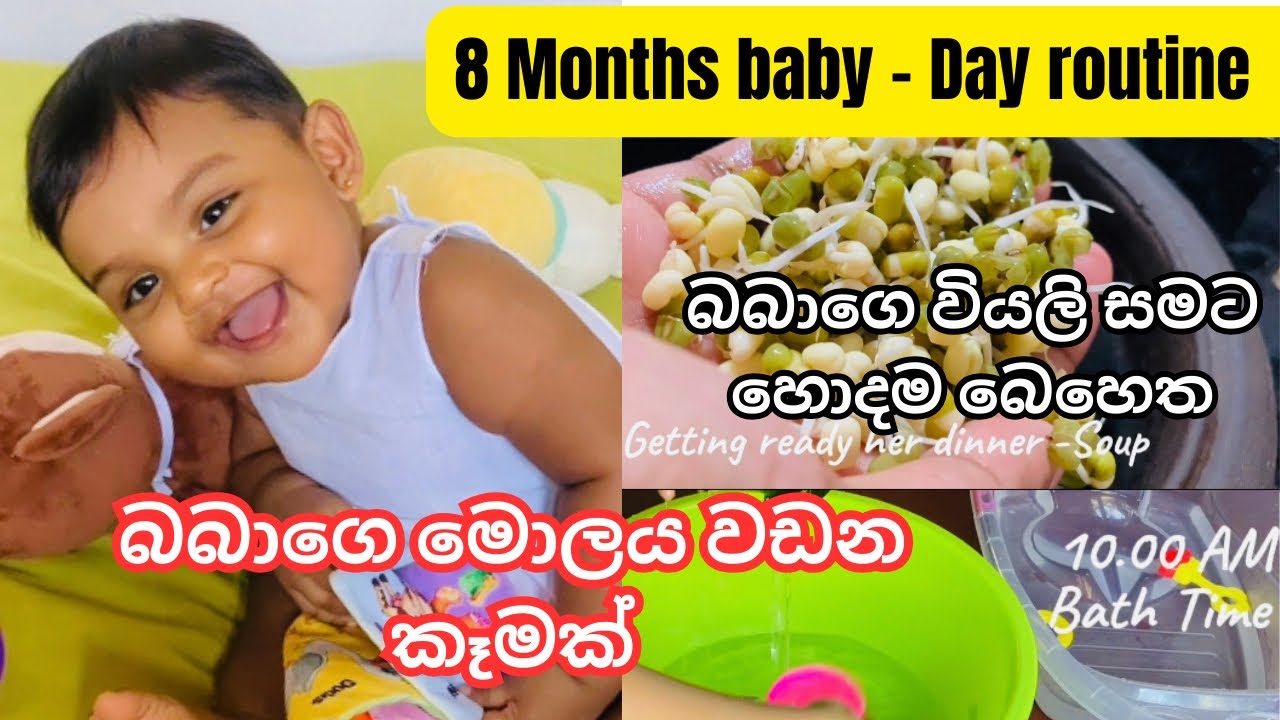 බබාගෙ මොලේ වඩන පැල මුං කෑමට දෙමු | බබාට වියලි සමට බෙහෙත | 8 months baby day routine| Mom of lithnara