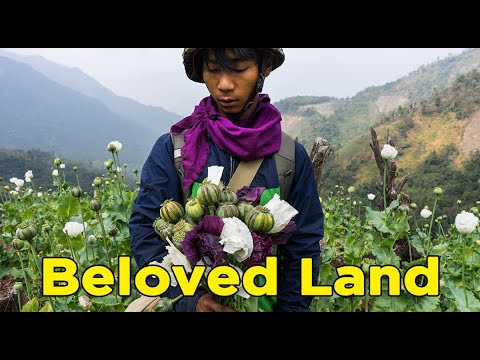 'Beloved land' -