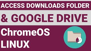 How to access files in ChromeOS Linux