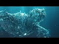 End of video