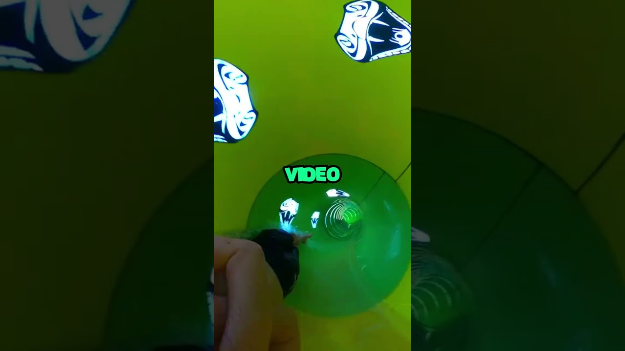 Water Slide COLLAPSES With People On It! 😱💦 