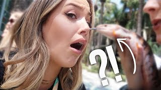 WE BROUGHT THIS TO VIDCON....