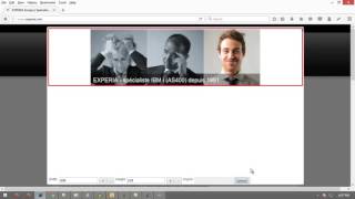Mozilla WebExtension Demonstration