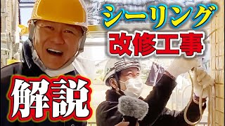 一級技能士職人の仕事！外壁塗装で一番大事な工事を完全解説！シーリング新築と改修の違いを徹底解説します！