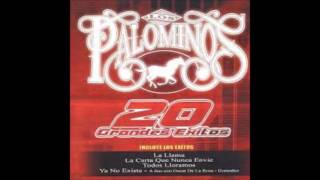 Download Lagu La Carta Que Nunca Envie-Los Palominos MP3