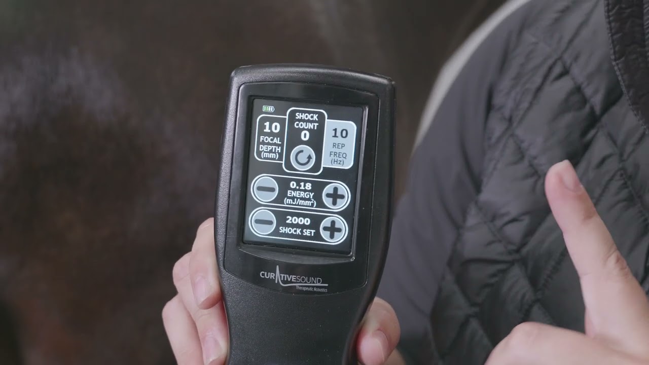 CS-Pro VET Video Tutorial - Equine - Splints