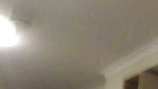 103_0011.MOV