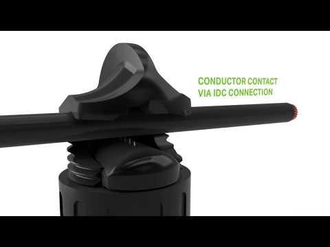 Video WAGO Voltage Taps - youtube