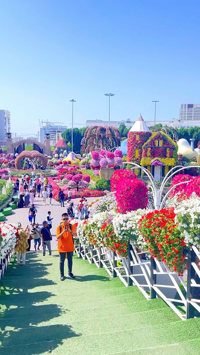 World’s largest garden flowers 💐 @_taj786