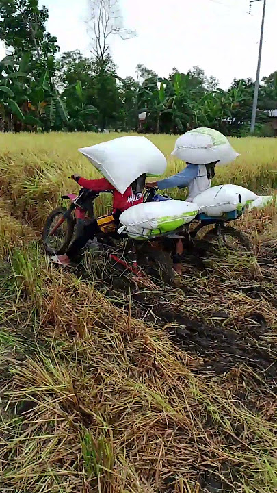 👉sino kaya mauuna Macky vs Glento  #trending #shorts #motorcycle