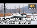 [4K] Snowy Day Walk - Seoul Dream Forest | 눈오는 북서울꿈의숲 풍경 산책