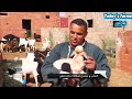 ربورطاج عن سلالة الدمان والتعريف بموطنه الأصلي mp3