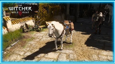 Witcher 3 Roach customization mod THE STABLE showcase.