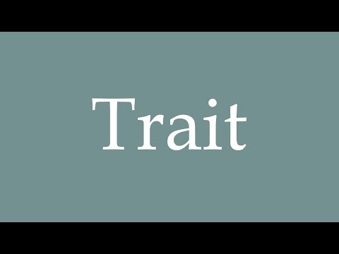 How to Pronounce ''Trait'' Correctly in French