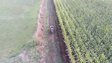 Parrot Anafi - Hyperlapse and Follow me