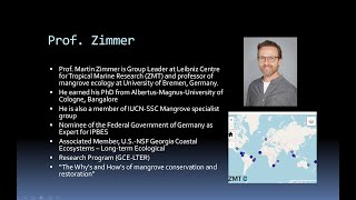 Martin Zimmer in 'tangled bank'
