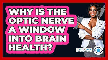 Why Is The Optic Nerve A Window Into Brain Health? - Optometry Knowledge Base