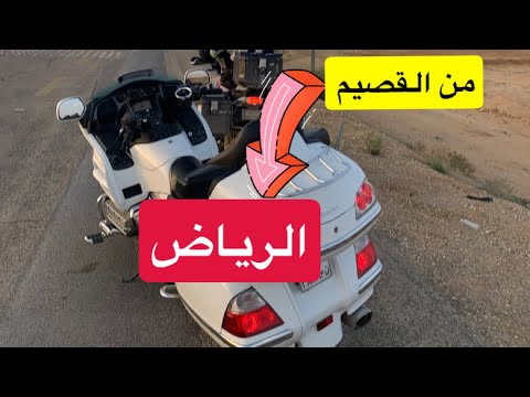 شريت دباب قولد وينق